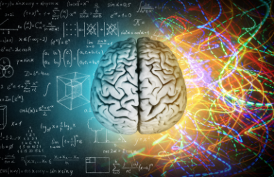 Cérebro Humano  a sua complexidade e mistério