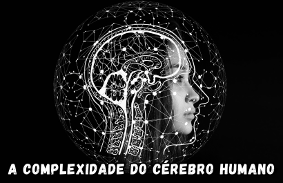 10 fatos surpreendentes sobre o cérebro humano