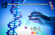 O Fascinante Mundo do DNA Humano